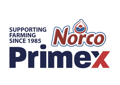 Norco Primex